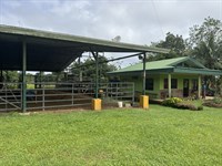 22 Acre Farm in Heredia : Sarapiqui : Costa Rica