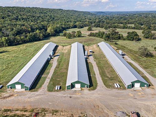Income Producing Poultry Operation : Mulberry : Franklin County : Arkansas