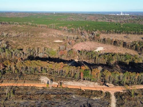 46 Acres Russell Co : Pittsview : Russell County : Alabama