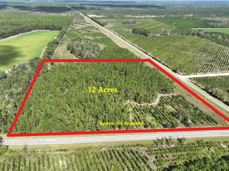 12 Acres Jamestown Rd Tract 10 : Waycross : Ware County : Georgia