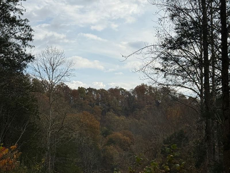 Private 32+ Acre Getaway with Unfin : Whitleyville : Jackson County : Tennessee