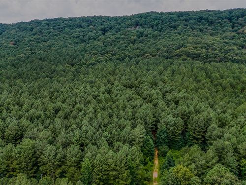 Back Valley Tract 5 : Lyerly : Chattooga County : Georgia