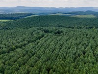 Back Valley Tract 6 : Lyerly : Chattooga County : Georgia