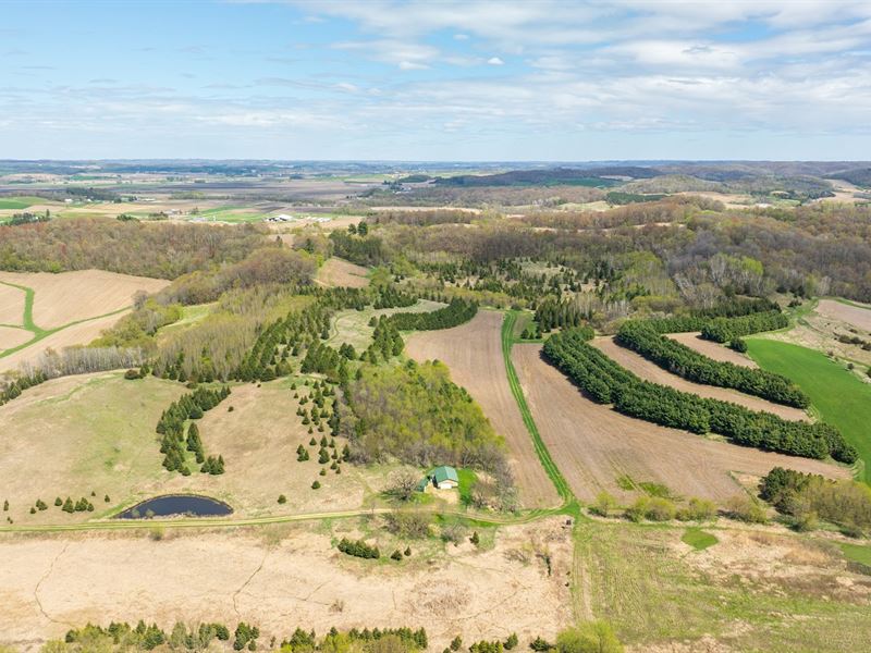 90 Acres, Pole Shed & Cabi : Mondovi : Buffalo County : Wisconsin