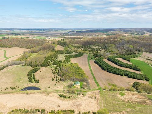 90 Acres, Pole Shed & Cabi : Mondovi : Buffalo County : Wisconsin