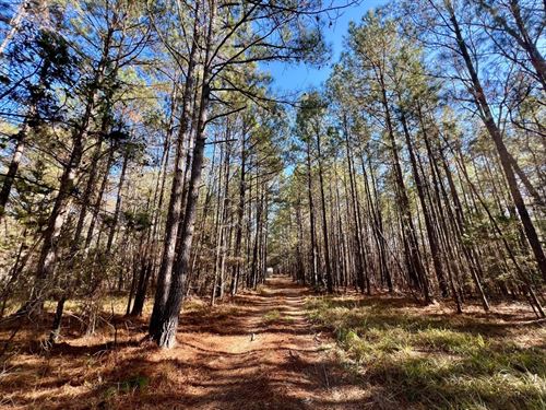 St Marys Rd Hunting & Timber : Crawfordville : Taliaferro County : Georgia