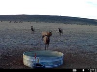 Gmu 3 Hunting Property : Maybell : Moffat County : Colorado