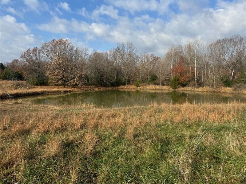 81 Acres Adjoining The Mark Twain : Falcon : Laclede County : Missouri