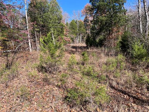 Small Getaway : Bowling Green : Warren County : Kentucky