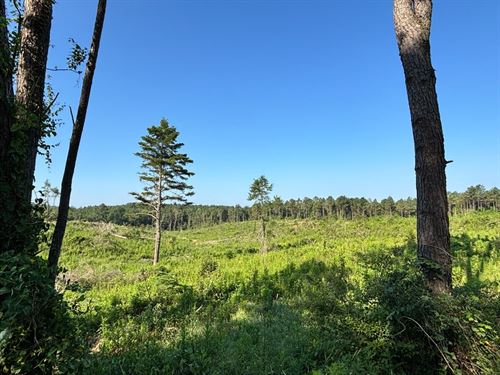 Cabin, Home Barndominium Site : Carthage : Leake County : Mississippi