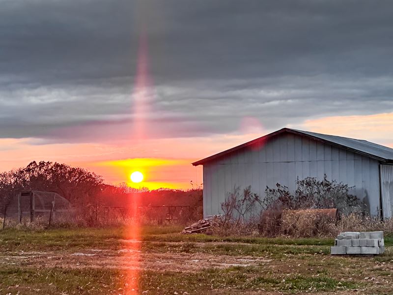 Land for Sale, Farm in Missouri : Mountain Grove : Texas County : Missouri