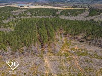 19.6 Acre Wooded Homesite, Pacolet : Pacolet : Cherokee County : South Carolina