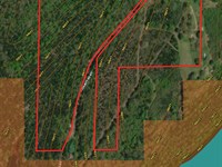 Wooded Land Bordering Corp Land : Thornfield : Ozark County : Missouri