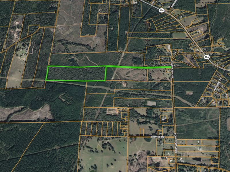 Nesbitt Cutoff, Marshall, TX 75670 : Marshall : Harrison County : Texas