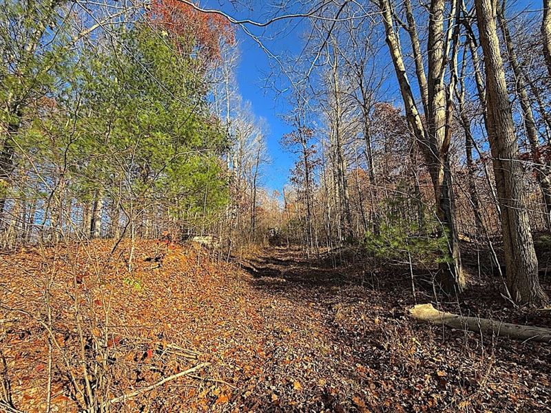 Carrs Run, 14 Acres : Waverly : Pike County : Ohio