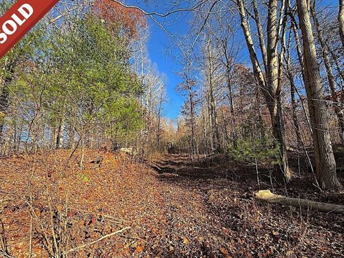 Carrs Run, 14 Acres : Waverly : Pike County : Ohio