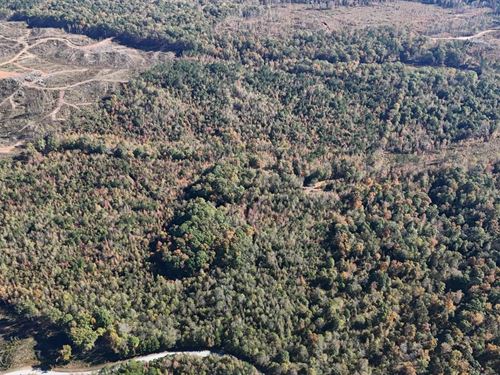 71 Acres in Union County, MS : New Albany : Union County : Mississippi