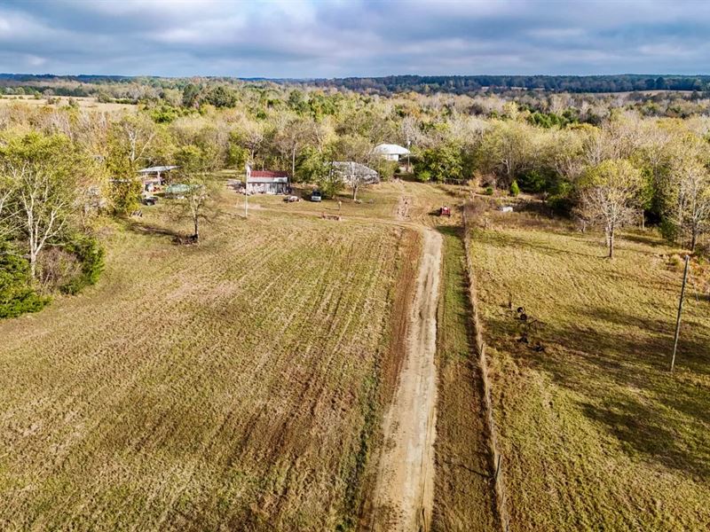 242 Acres with a Home in Sumter Cou : Emelle : Sumter County : Alabama