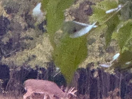 64.67 Acres in Panola County, MS : Batesville : Panola County : Mississippi