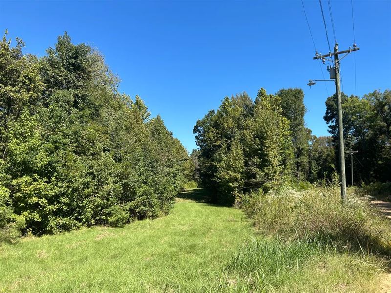 160 Acres in Yazoo County, MS : Bentonia : Yazoo County : Mississippi