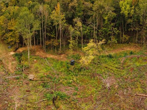 43.11 Acres With a Home in Madison : Camden : Madison County : Mississippi