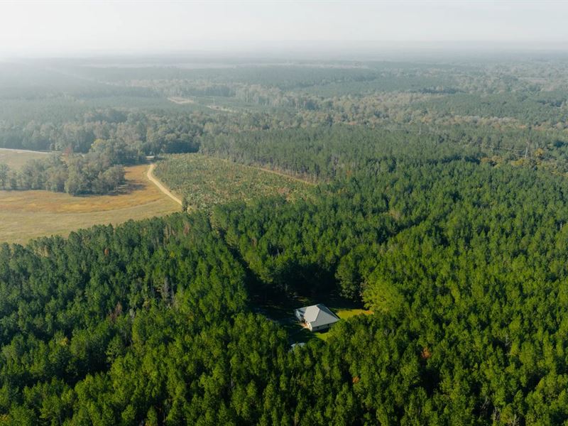 116.98 Acres with a Home in Lincoln : Bogue Chitto : Lincoln County : Mississippi