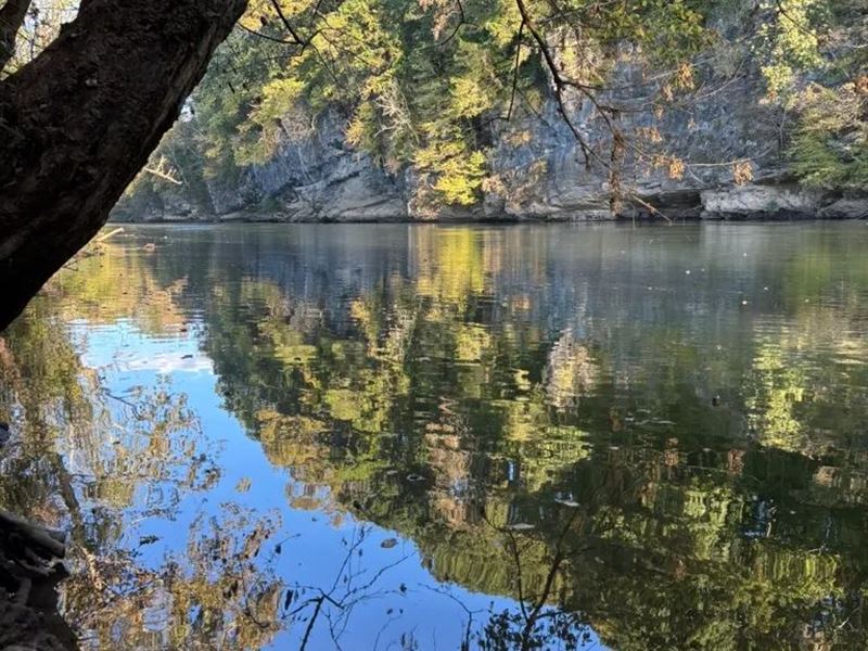 24.64 Acres in Polk County, TN : Delano : Polk County : Tennessee