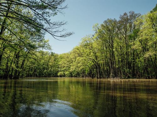 206 Acres in Carroll County, MS : Sidon : Carroll County : Mississippi