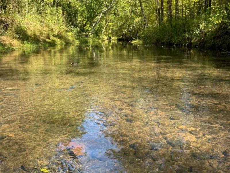 343 Acres with a Camp in Tallahatch : Cascilla : Tallahatchie County : Mississippi