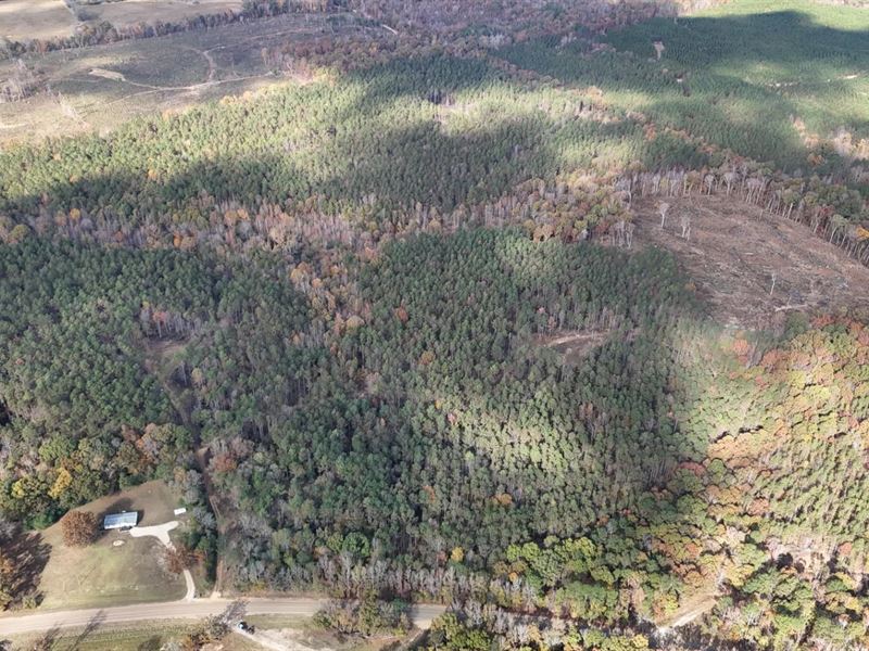 156 Acres in Calhoun County, MS : Bruce : Calhoun County : Mississippi