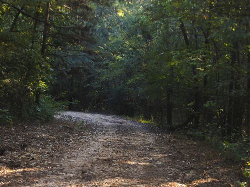 480 Acres in Hempstead County, AR : McCaskill : Hempstead County : Arkansas