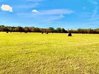 84 Acres in Holmes County in Durant : Durant : Holmes County : Mississippi