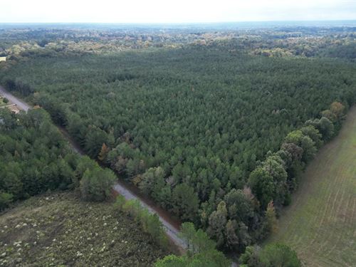 56 Acres in Leake County in Carthag : Carthage : Leake County : Mississippi