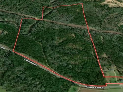 79.23 Acres in Marion County in Col : Columbia : Marion County : Mississippi