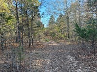 48 Acres of Endless Potential, Bui : Fort Towson : Choctaw County : Oklahoma