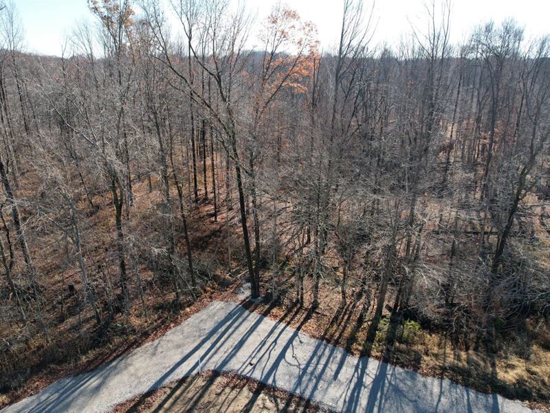 Tract 5 0 CR 1200 N Brazil : Brazil : Clay County : Indiana