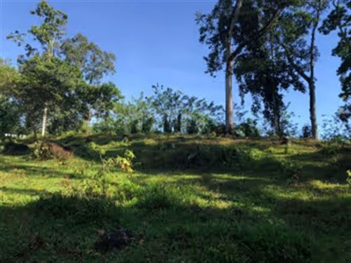 Beautiful Property in Santa Teresit : Turrialba : Costa Rica