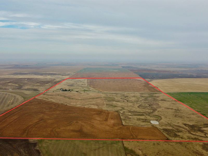 Graham County Crop & Oil : Morland : Graham County : Kansas