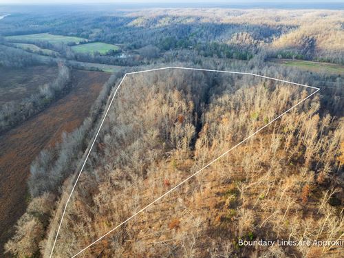 28 Acres Waverly, Tennessee : Waverly : Humphreys County : Tennessee