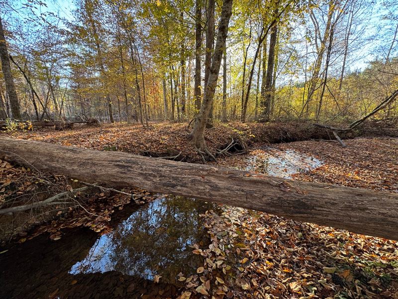 20.92 Acres, Germany's Ferry Road : Daviston : Tallapoosa County : Alabama