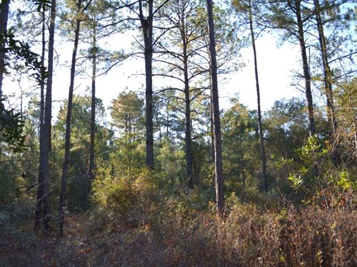 Sandpiper Lane, Tract 1 : Swainsboro : Emanuel County : Georgia