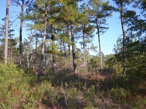 Sandpiper Lane, Tract 2 : Swainsboro : Emanuel County : Georgia