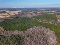 Mill Creek Road Tract : Cassatt : Kershaw County : South Carolina