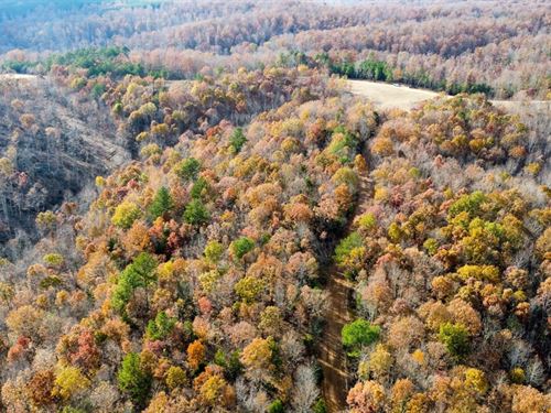 Timber Ridge : Centerville : Hickman County : Tennessee