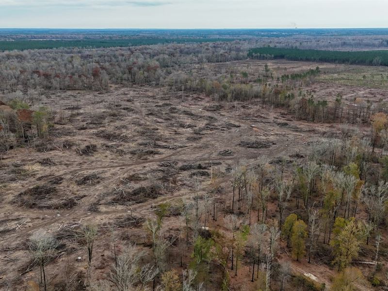 Big Creek Tract : Rison : Cleveland County : Arkansas