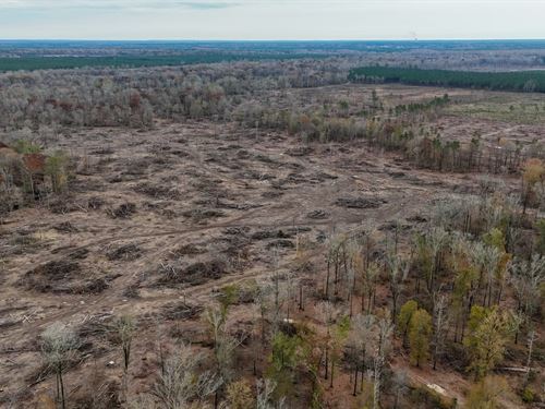 Big Creek Tract : Rison : Cleveland County : Arkansas