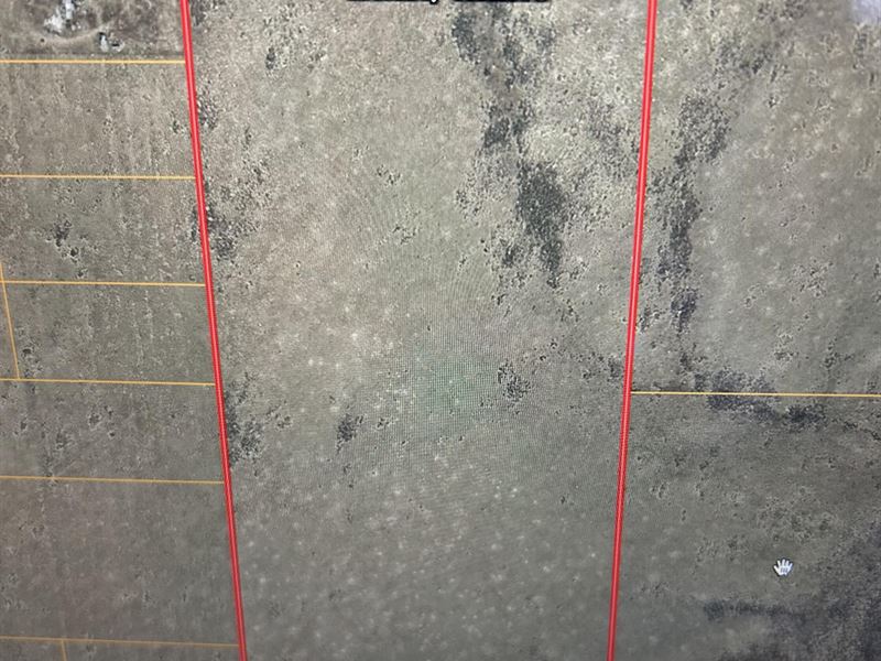 Wild Sage Mesa : Mesita : Costilla County : Colorado