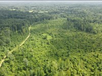 Phares Hilltop Farm The Southeast : Meadville : Franklin County : Mississippi