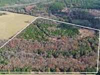 Rough Branch 41 : Mulberry : Franklin County : Arkansas