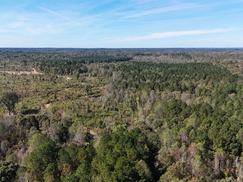 344 Acres in Neshoba County in Phil : Philadelphia : Neshoba County : Mississippi